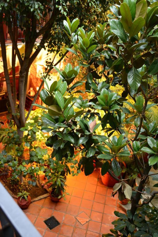 Hotel Casa Guiva Oaxaca المظهر الخارجي الصورة
