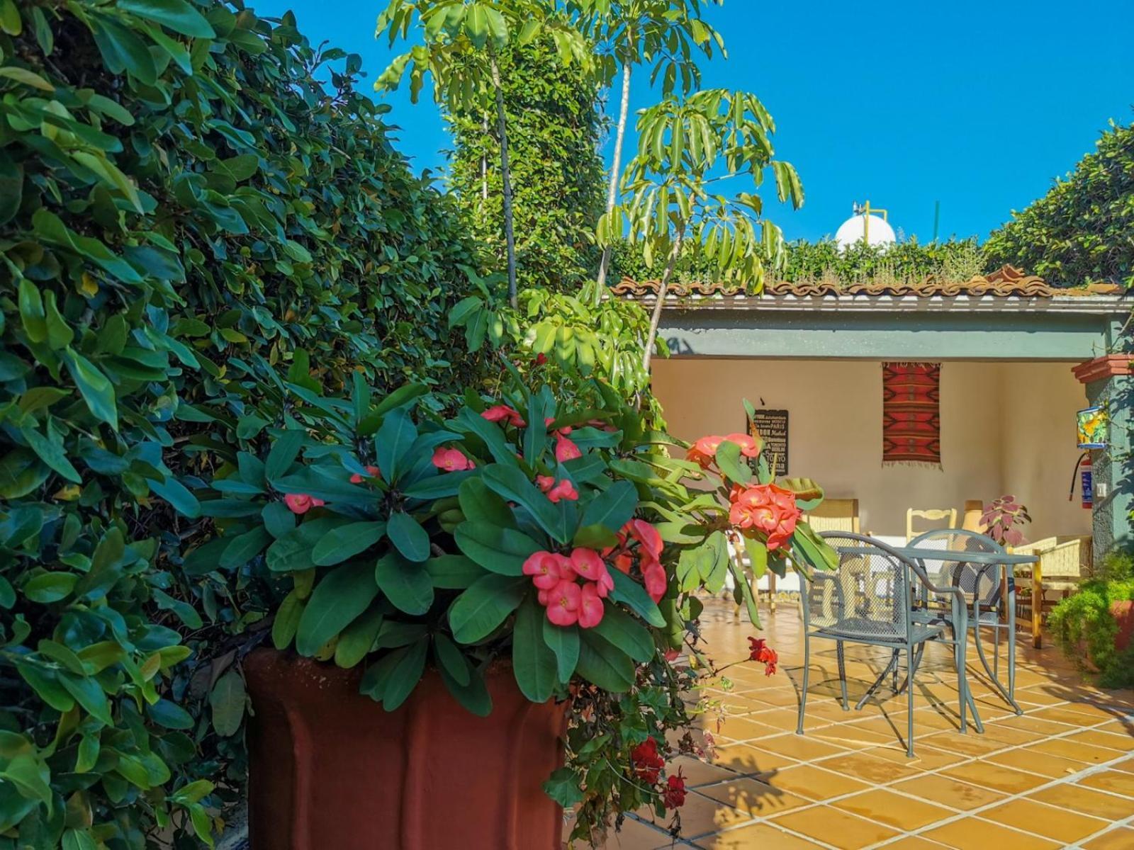 Hotel Casa Guiva Oaxaca المظهر الخارجي الصورة